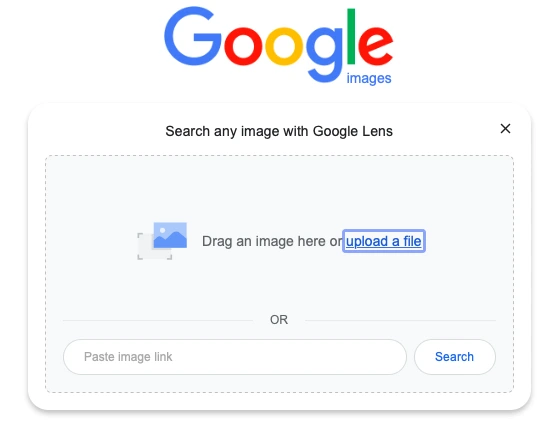 Top 7 Reverse Image Search Engines for Face Search Compared